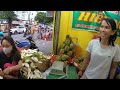 Bà Trùm Sầu Riêng HIẾU NGHĨA khui những trái sầu cơm vàng óng ánh