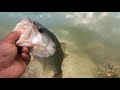BIG BASS Chokes on Fish! Sneaking in Golf Course for Big Bass