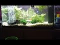 My tank