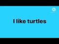 I like turtles