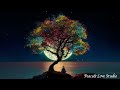 1 Hour Relaxing peaceful music, Stop Thinking Too Much, Reduces Anxiety, Stress (1小时放松平静的音乐)