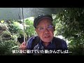 【久高島歴史民俗散歩③】ハタスと大里家(ウプラトゥ)
