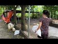 Discover Amazing Duck Farms - Collecting Duck Eggs - Work on a Duck Farm