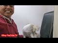 Charlie Boy new Grooming | KIKOY YOUTUBE TV