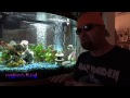 yyzgeye's Fvlog 6- Update on tanks & Why do you like fish keeping?