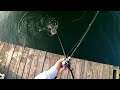 PIER FLUKE JIGGING - A Breakdown - Flounder Fishing 2024!