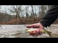 Trout Fishing one of the most beautiful creeks in Pennsylvania