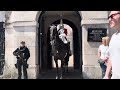 CRAZY DAY, Everything was fine, Until this HAPPENED! at horse GUARDS