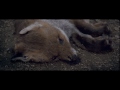 Sigur Rós - Ekki múkk [Official Music Video]
