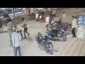 Attack by Bull #bull #viral #viralvideo  #bang #police #viral #viralvideo #youtube #viral