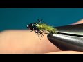Fly Tying Straggle Pupa | Hackles & Wings