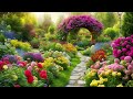 Relaxing Garden | Perfect Relaxation | ASMR | Chill Mode