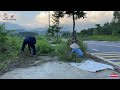 How Did We Eliminate the World of Weeds Invading the Sidewalks?