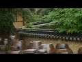 soothing rain sounds on the korean traditional house yard