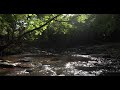 Relaxing music with peaceful riverflow