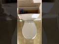 Toilet Repair : Toilet leaking!