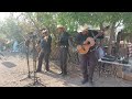 Polka Tamaulipas. Trio Dinastía Tamaulipeca🎻