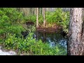 DIY Homemade Truck Camper Using Reclaimed Lumber | Off-roading in Florida