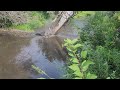 Beaver dam removal