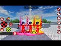 [NEW] MJ TRANSFORMAÇOES DO GRUPO - MIRACULOUS ROBLOX!