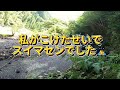 【 事故 】ほんと皆様ご注意を バイク転倒  林道ツーリング WR155R 天辻林道 【 モトブログ 】