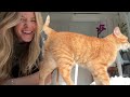 Building a Catio For an Orange Cat