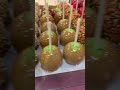 Candy Apples of all kinds @ Williamstown New Jersey Amish Market & some fudge Halloween Thanksgiving