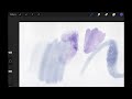 Procreate Watercolor Tutorial Using ONLY Standard Brushes