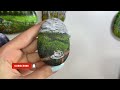 How to acrylic painting on stone | a cup of coffee in nature | Step by Step