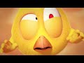 Cubitos gigantes | ¿Dónde está Chicky? | Pollito pio | Colección dibujos animados para Niños HD