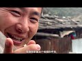 Rare Lifestyle: Human-Animal Coexistence Preserved in this Village in Yunnan!