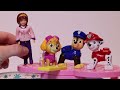 Paw Patrol goes to the Pool - Toy Learning Video about Pool Safety - for Kids!