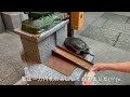 【観光紹介vlog】東京・日本橋『小網神社』最強厄除け神社へ行ったらいろいろ不思議なことが起こってビックリしました！！