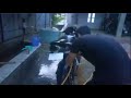 washing CBR600r inline4