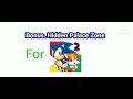 Sonic 1-3 A.I.R Mobile Secret's And Glitches