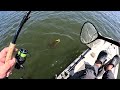 KAYAK FLUKE Single Jigging 2024 - Flounder Fishing Tips and Tricks!