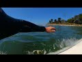 LONGBOARDING GLASSY WAVES WITH DOLPHINS (4K RAW)