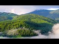 Relaxing Music With Beautiful Nature Videos 🍀 Reduce Stress, Anxiety & Depression 🌿 Soul Healing
