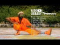 Audio Library - DJ Freedem - No Copyright Music Playlist