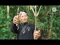 Bambu Unik Patel Lele Memang Idola Sesepuh Bogor