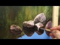#14 How To Paint Rocks | Oil Painting Tutorial