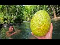 What Did I Just Catch?! Landbase Fishing in Samoa Catch and Cook