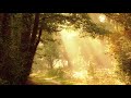Beautiful Relaxing Music to Relieve Stress. Music for Meditation.