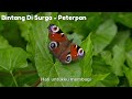 12 Lagu Top Hits Terbaik Peterpan | Lagu Tahun 2000an | Mungkin Nanti, Ku Katakan Dengan Indah