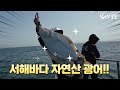 폭발적인 효과의 광어다운샷 액션 방법 (feat. 구독자 이벤트)