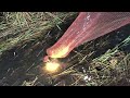 Đặt lợp ếch sau cơn mưa -Trúng bầy ếch khủng -Thanh Hùng Vlog