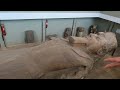 Ancient Egypt's First Original Capital MEMPHIS | The Mystery of Memphis | EGYPT | RamesesII |Vlog 26