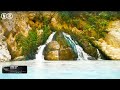 Gentle healing music for nervous system relief, restore inner harmony 🌱 mindful soothing music #2