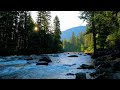 4K Peaceful Merced River Sunrise Ambience | Water Sounds White Noise | Yosemite National Park