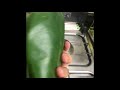 Como Preparar folhas de Terminalia Catappa (Amendoeira)